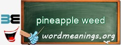WordMeaning blackboard for pineapple weed